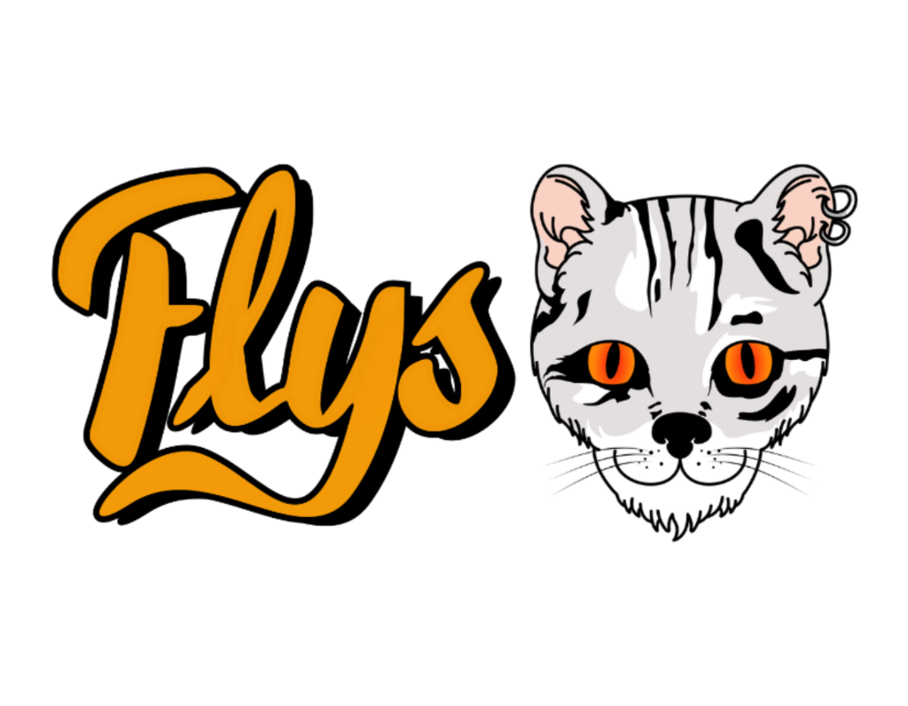 Flys Eventos